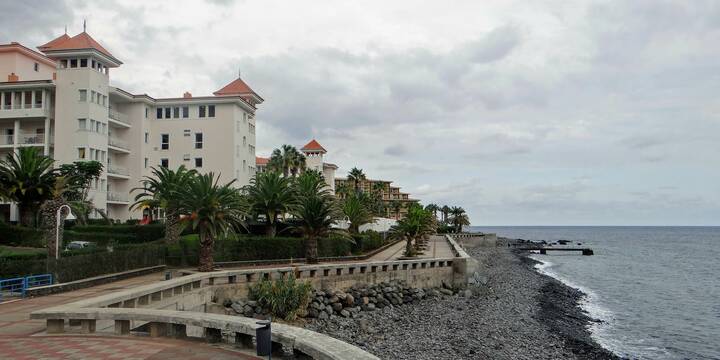 Caniço Madeira