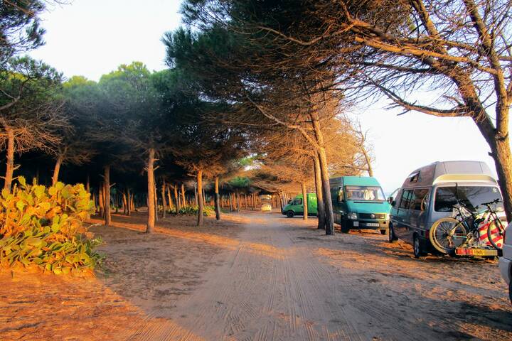 Sandweg bei Quarteira an der Algarve Strasse Portugal Algarve