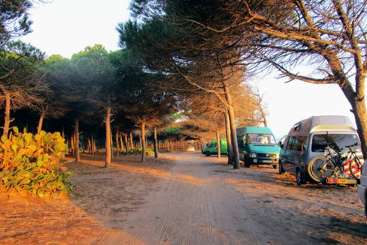 Strasse Portugal Algarve