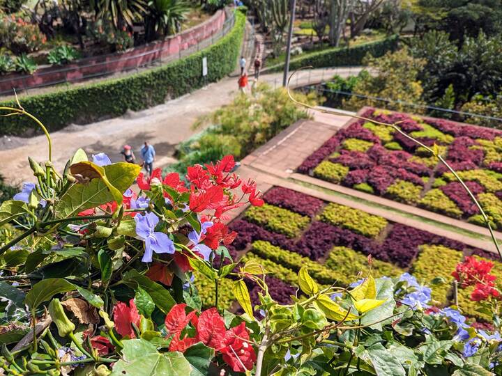 Madeira Botanischer Garten