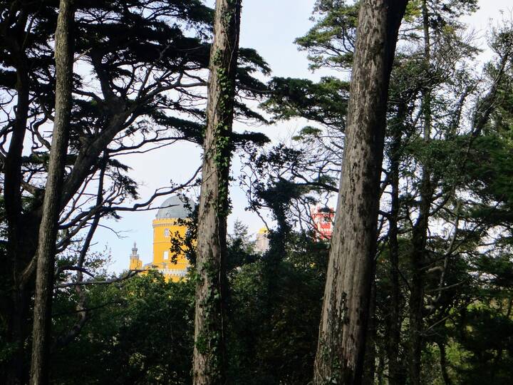 Pena Palast Garten