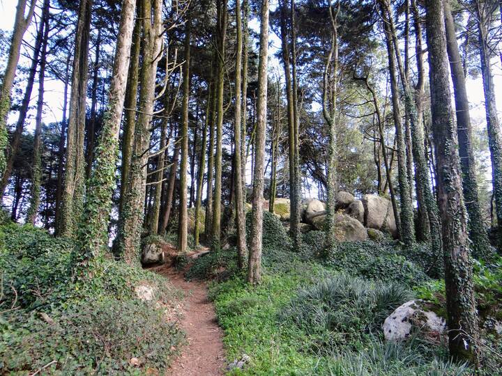 Pena Palast Park