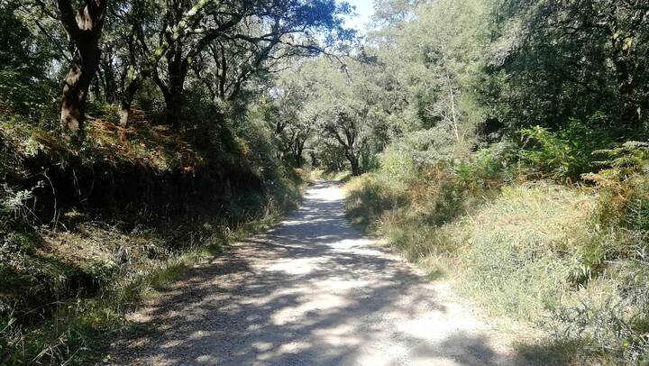Bom Jesus do Monte Wander