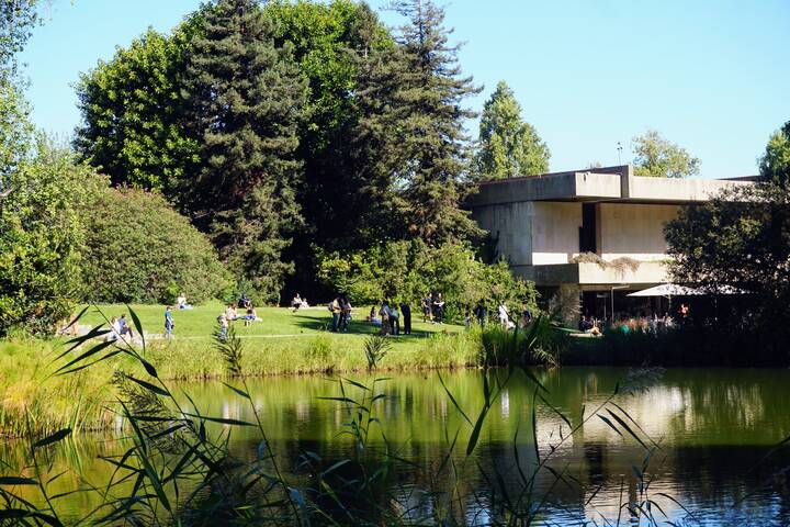 Gulbenkian Museum Garten