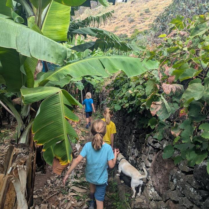 Madeira Bananentour Kinder