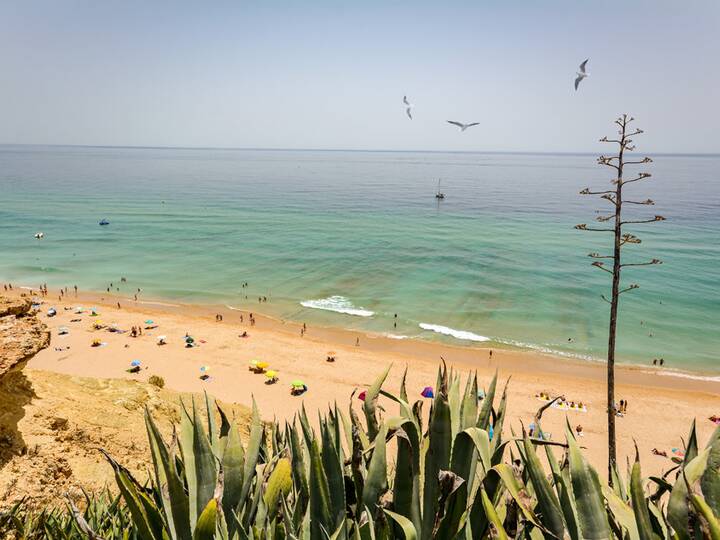 Praia Do Porto De Mos Strand Lagos Algarve Portugal 360