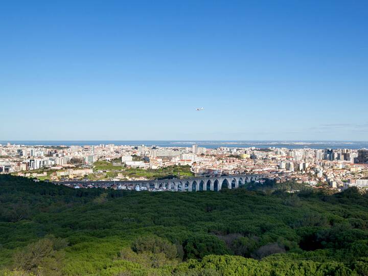 Park Wald Monsanto Lissabon