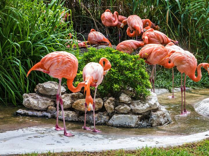 Zoo Lissabon