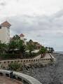 Caniço Madeira