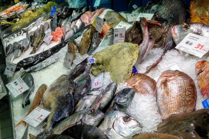 Fisch Meeresfrüchte Portugal